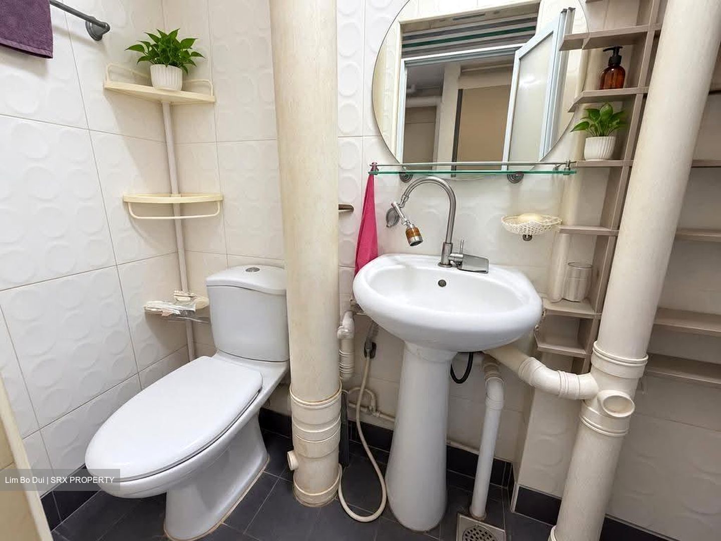 Blk 556 Jurong West Street 42 (Jurong West), HDB Executive #635387541